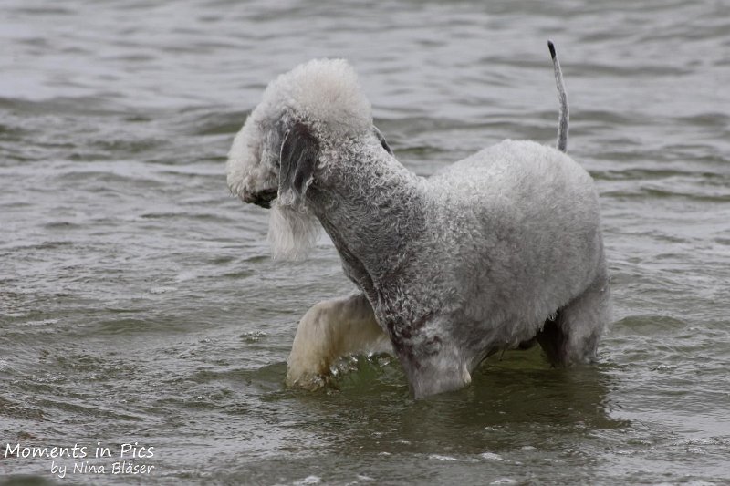 2010-06-26 Arc-en-ciel Arlequin (15).jpg